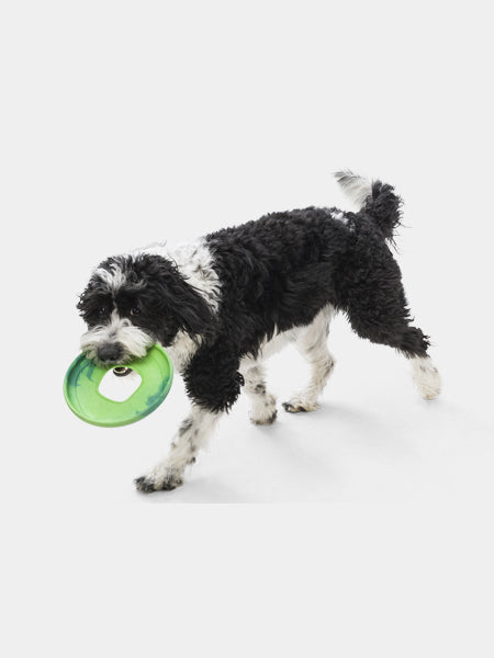 Balle frisbee magique pour chiens - Petits Compagnons