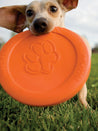    west-paw-frisbee-zisc-chien-ecologique-orange