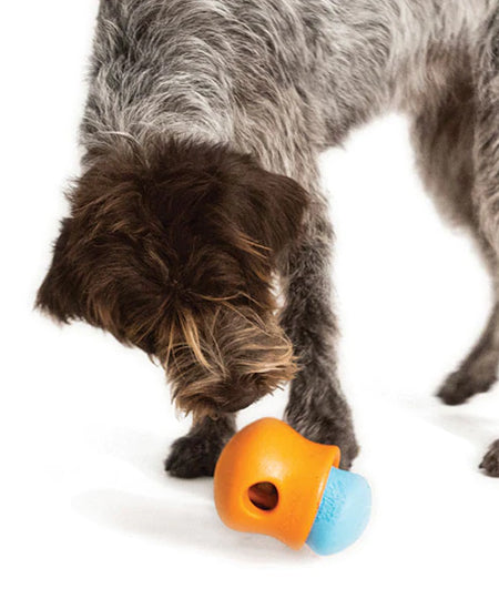        west-paw-jouet-ecologique-naturel-pour-chien-resistant-double-toppl