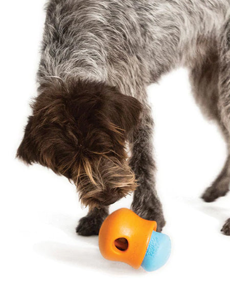        west-paw-jouet-ecologique-naturel-pour-chien-resistant-double-toppl