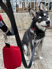 Wildebeest-distributeur-sac-a-crottes-pour-chien-rouge