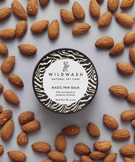 wildwash-baume-coussinet-chien-magic-paw-balm