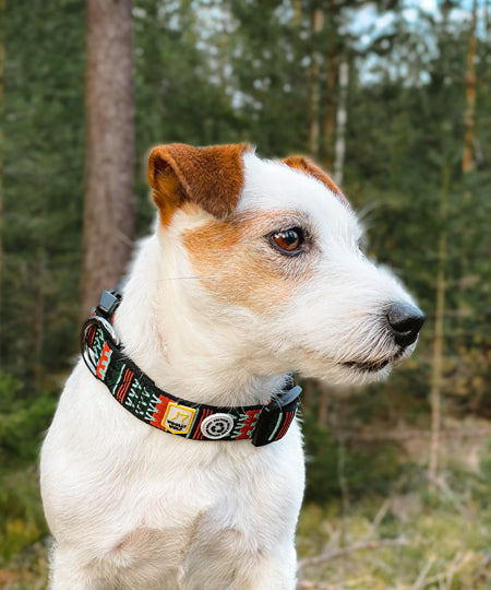 woolywolf-collier-design-pour-chien-woodland