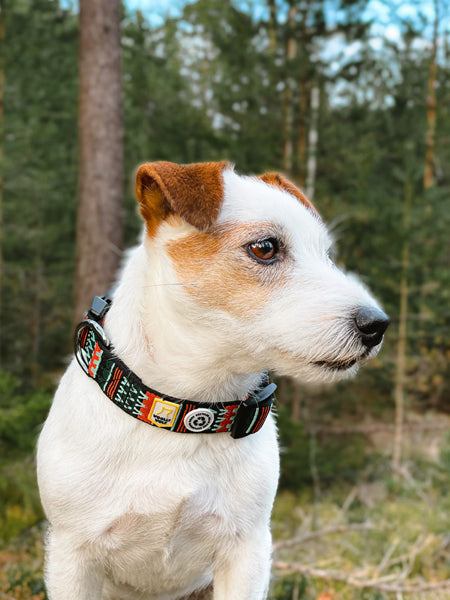 woolywolf-collier-design-pour-chien-woodland