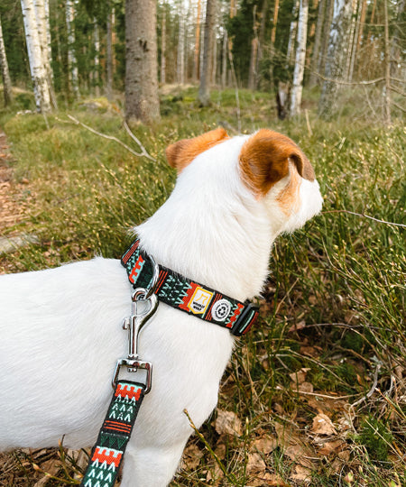 woolywolf-laisse-pour-chien-woodland