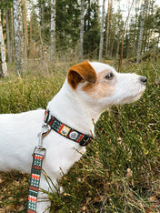 woolywolf-collier-design-pour-chien-woodland