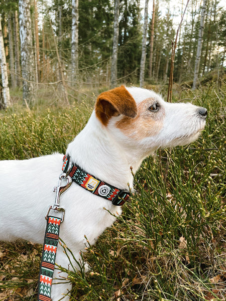 woolywolf-collier-design-pour-chien-woodland