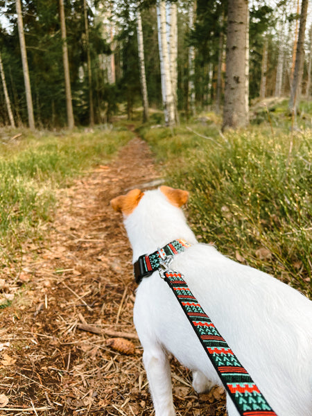 woolywolf-collier-design-pour-chien-woodland