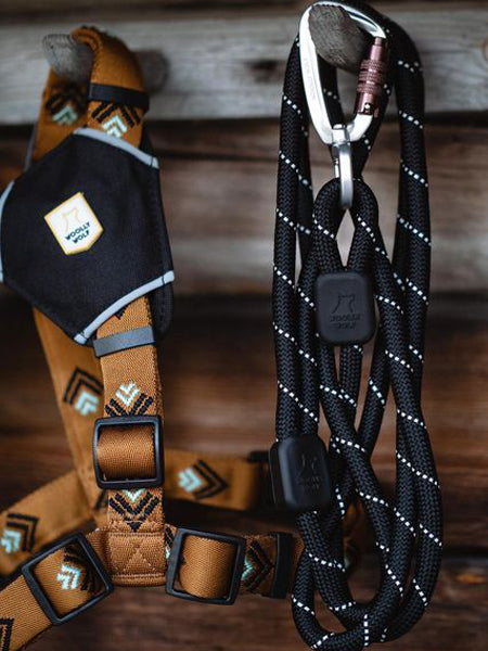       woolywolf-harnais-design-pour-chien-sea-to-summit