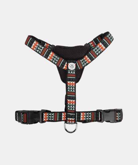 woolywolf-harnais-design-pour-chien-woodland