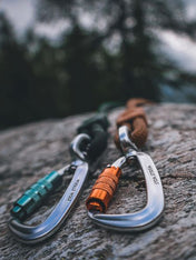     woolywolf-laisse-design-pour-chien