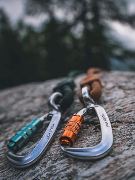     woolywolf-laisse-design-pour-chien