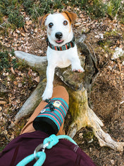 woolywolf-sac-friandises-design-pour-chien-woodland