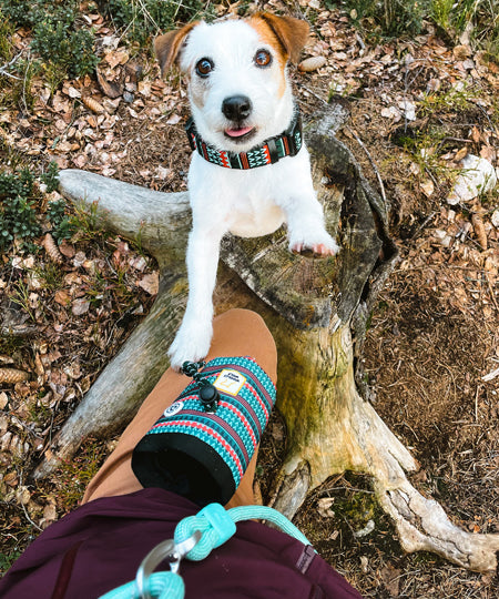 woolywolf-sac-friandises-design-pour-chien-woodland