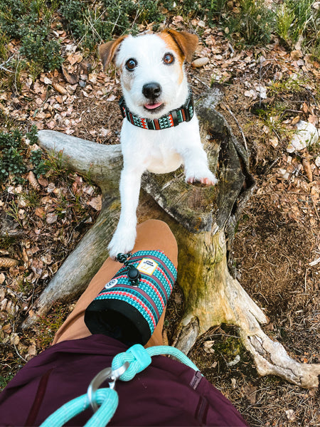 woolywolf-sac-friandises-design-pour-chien-woodland