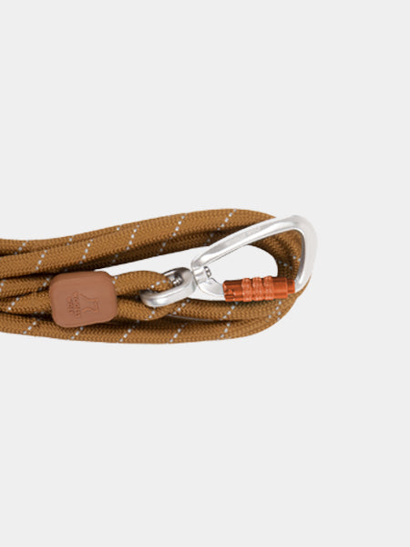 woolywolf-laisse-marron-design-pour-chien-honey-ginger