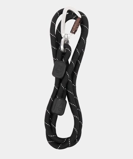 woolywolf-laisse-design-pour-chien-black-raven