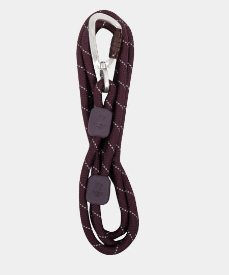 woolywolf-laisse-violette-design-pour-chien-juicy-plum