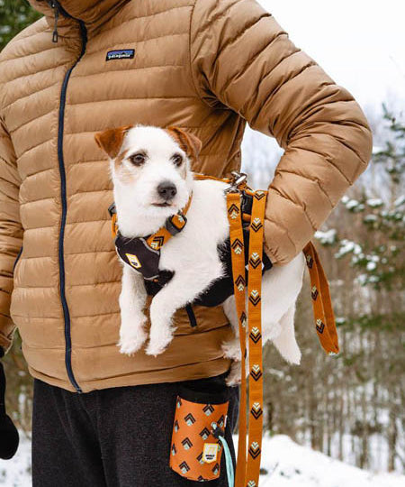 woolywolf-laisse-pour-chien-sea-to-summit