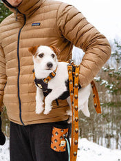 woolywolf-harnais-design-pour-chien-sea-to-summit