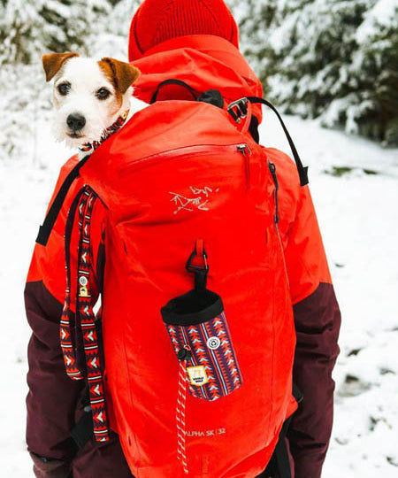 woolywolf-sac-friandises-design-pour-chien-polar-night