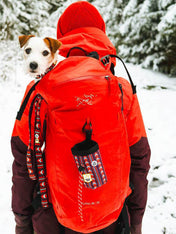 woolywolf-laisse-pour-chien-polar-night