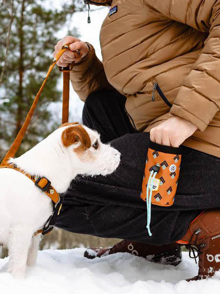 woolywolf-sac-friandises-design-pour-chien-sea-to-summit