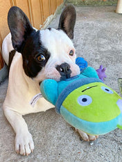     zee-dog-alien-flex-peluche-pour-chien-bubu