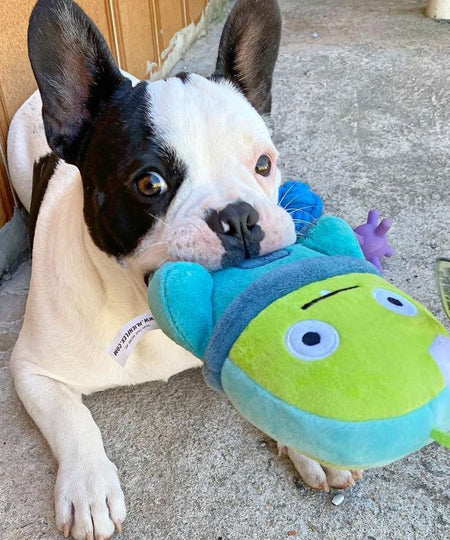     zee-dog-alien-flex-peluche-pour-chien-bubu