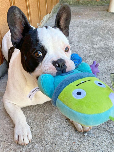     zee-dog-alien-flex-peluche-pour-chien-bubu