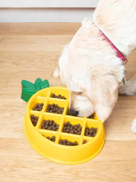       zippy-paws-gamelle-anti-glouton-pour-chien-ananas