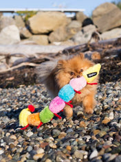     zippy-paws-peluche-pour-chien-Caterpillar-7-squeakers