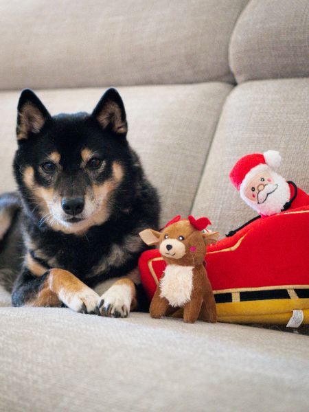       zippy-paws-peluche-pour-chien-Holiday-Burrow-Santa_s-Sleigh