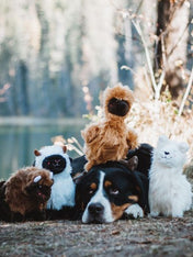    zippy-paws-peluche-pour-chien-Wooliez-larry-the-llama