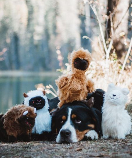    zippy-paws-peluche-pour-chien-Wooliez-larry-the-llama