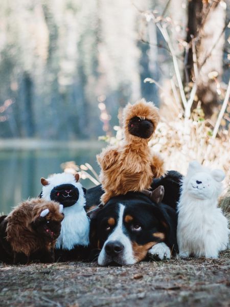    zippy-paws-peluche-pour-chien-Wooliez-larry-the-llama