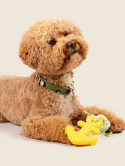 zippy-paws-peluche-pour-chien-ancre-bateau