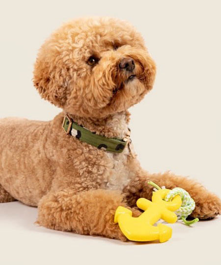 zippy-paws-peluche-pour-chien-ancre-bateau