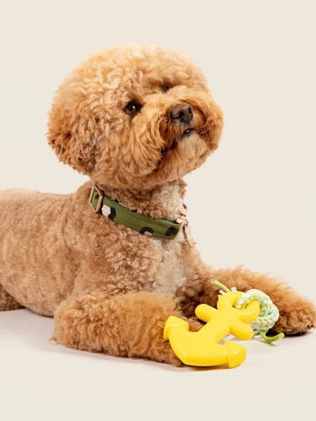 zippy-paws-peluche-pour-chien-ancre-bateau