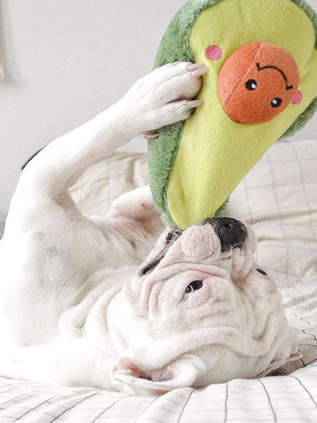 zippy-paws-peluche-pour-chien-avocado