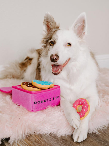        zippy-paws-peluche-pour-chien-boite-donut