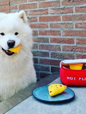    zippy-paws-peluche-pour-chien-boite-pizza