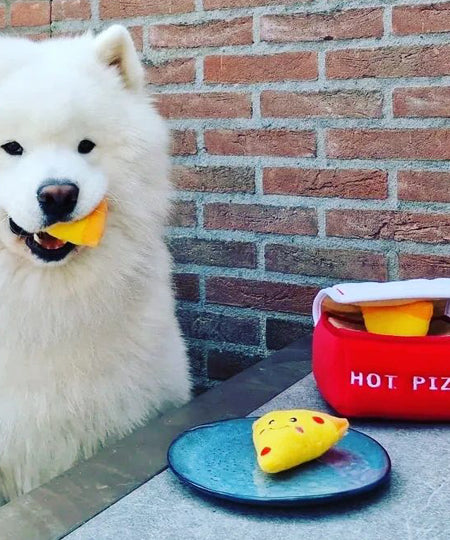    zippy-paws-peluche-pour-chien-boite-pizza