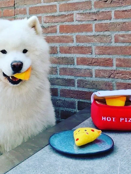    zippy-paws-peluche-pour-chien-boite-pizza