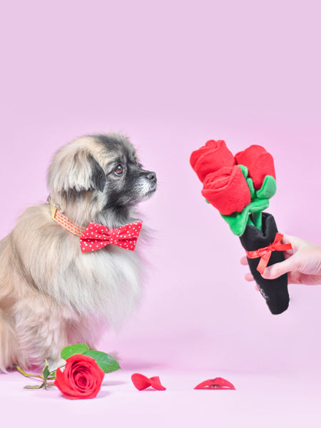     zippy-paws-peluche-pour-chien-bouquet-de-fleur-saint-valentin