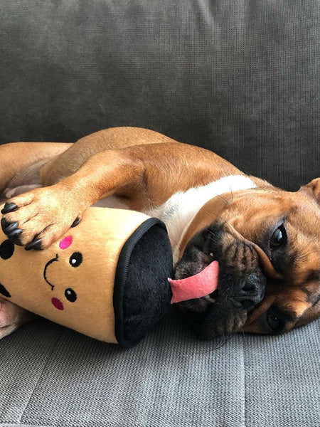 zippy-paws-peluche-pour-chien-bubble-tea