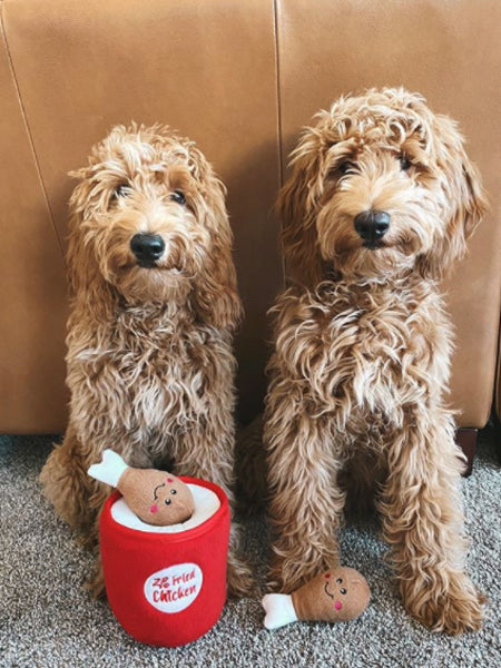 zippy-paws-peluche-pour-chien-bucket-chicken-wings