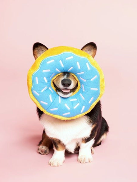 zippy-paws-peluche-pour-chien-donut-chocolat-corgi