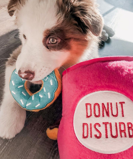 zippy-paws-peluche-pour-chien-donut-mug