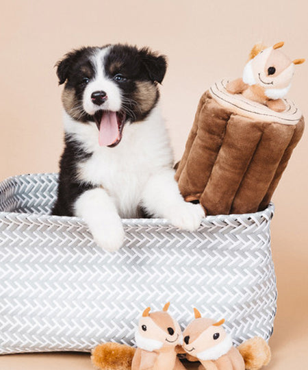 zippy-paws-peluche-pour-chien-ecureuil